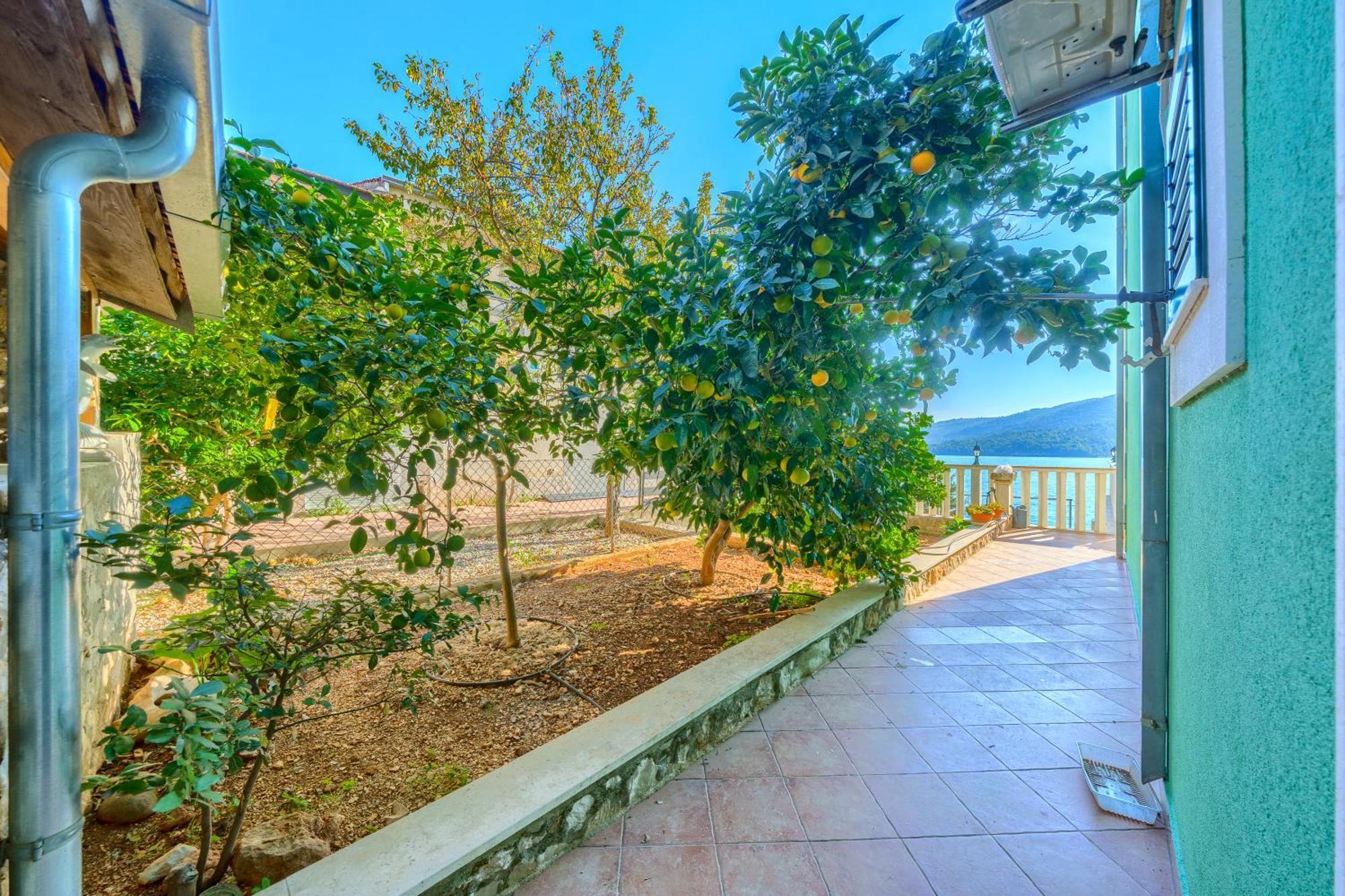 Villa Drago Marina Bagian luar foto